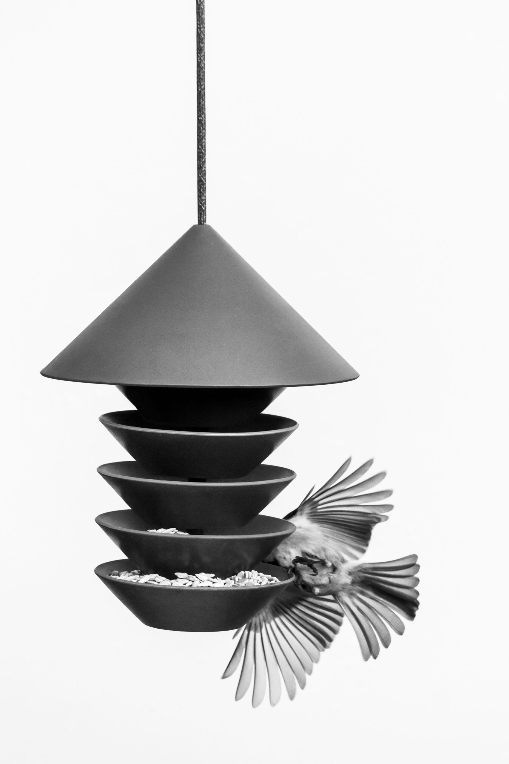 LIFESTYLE_1_BIRD_SILO_SUVI RUOTSI