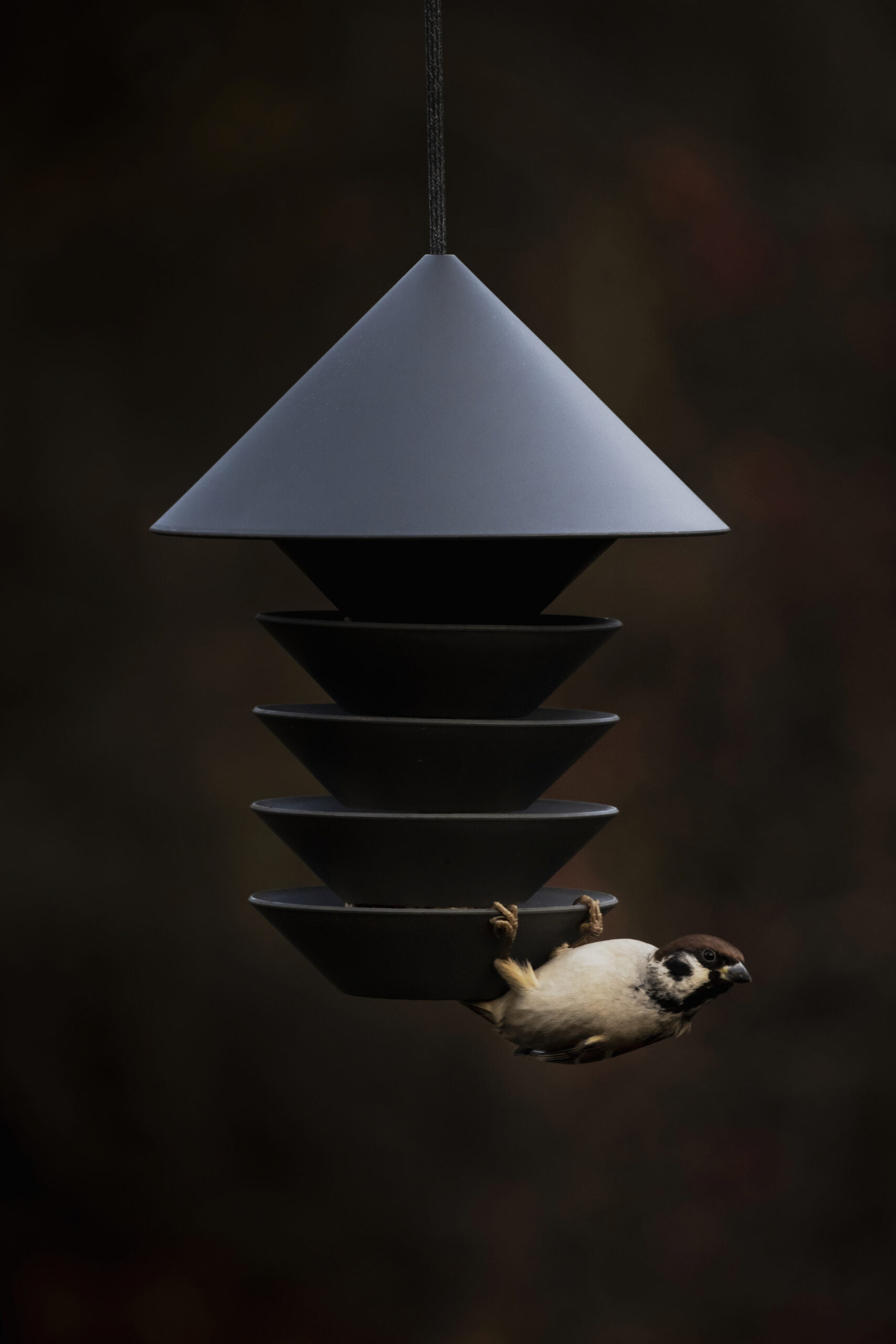 Balance is Everything