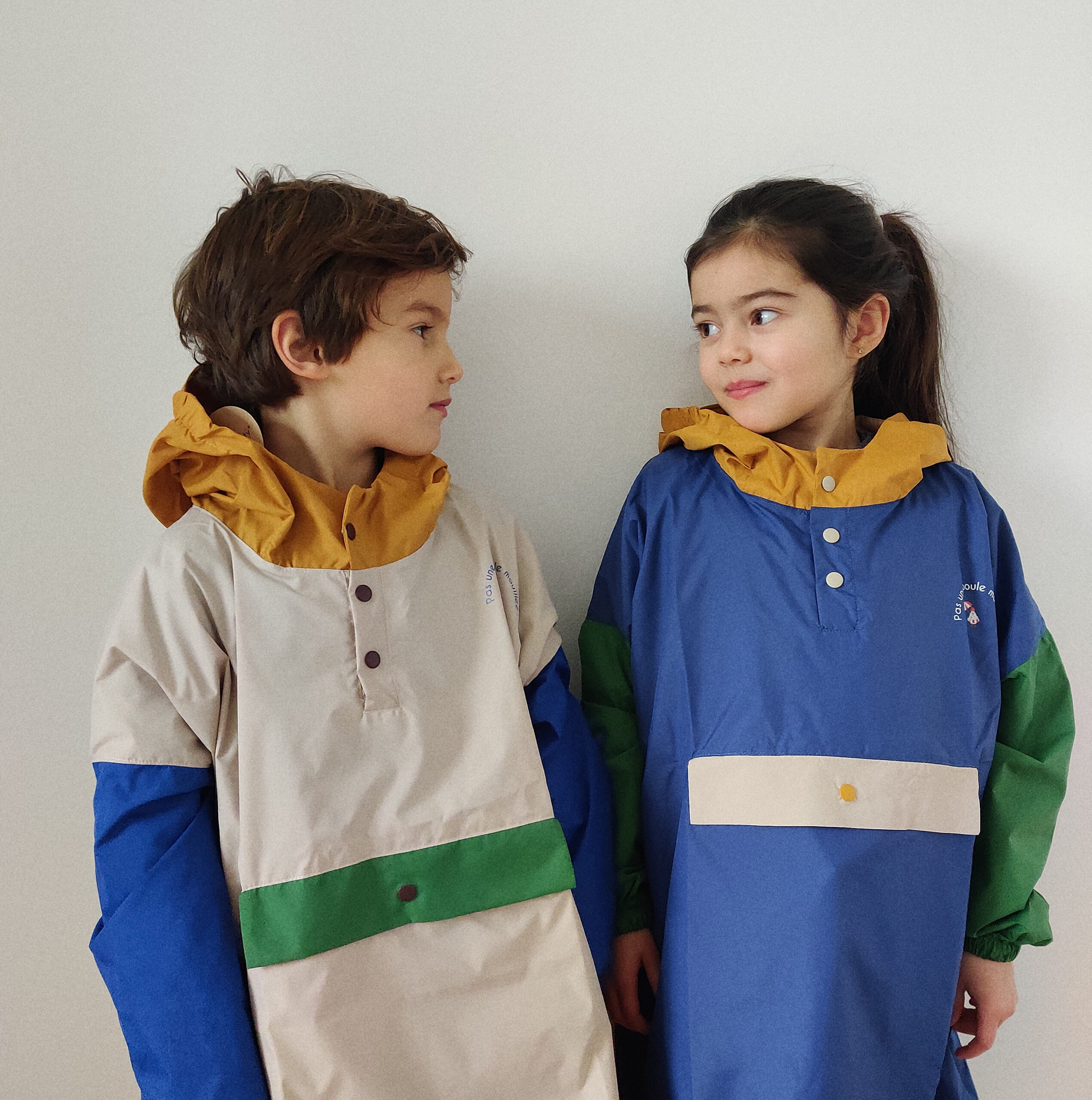 IMG_20240203_152859_01 - Copie